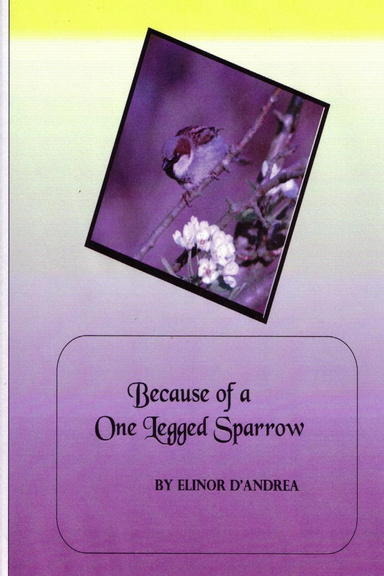 Because of a One Legged Sparrow