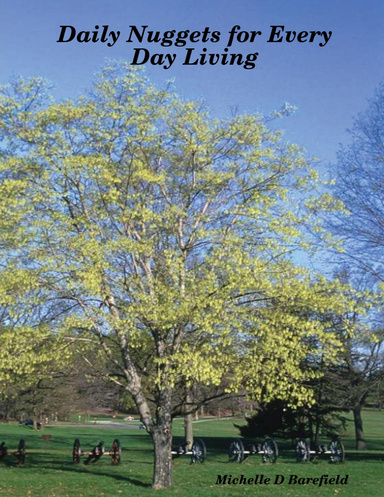 Daily Nuggets for Everyday Living