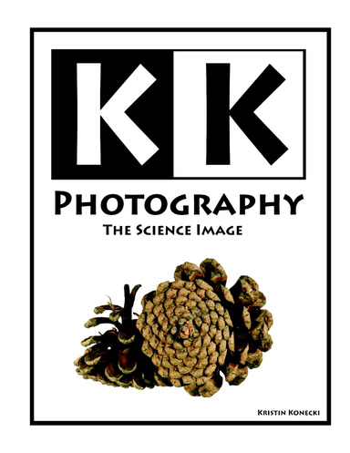 The Science Image