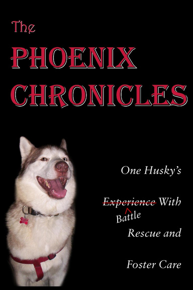 The Phoenix Chronicles