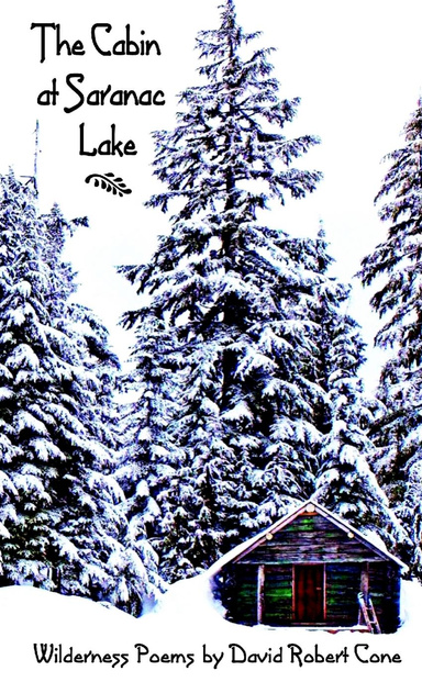 The Cabin at Saranac Lake