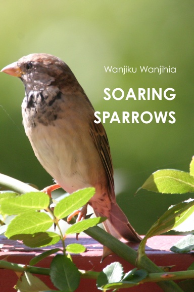 SOARING SPARROWS