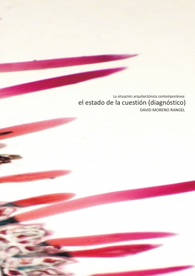 La situación arquitectónica contemporánea: el estado de la cuestión (diagnóstico)