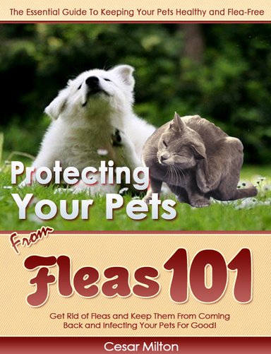 Protecting Your Pets from Fleas 101