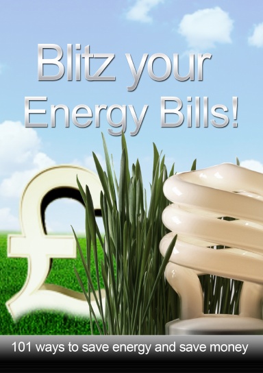 Blitz Your Energy Bills