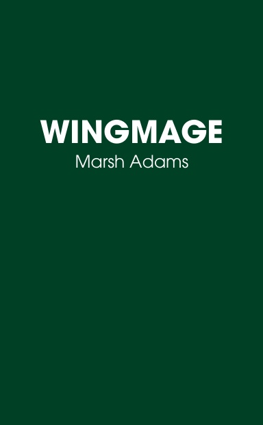 WINGMAGE