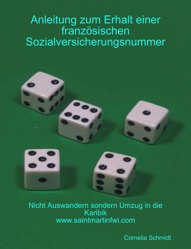 Anleitung zum Erhalt einer französischen Sozialversicherungsnummer