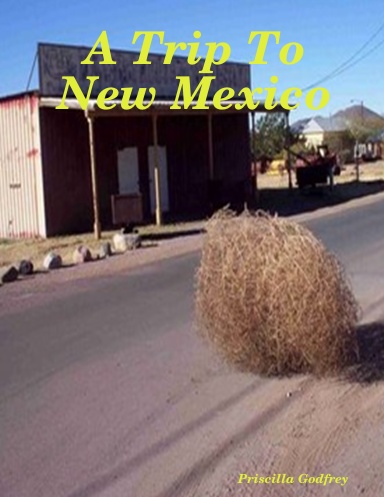 A Trip To New Mexico