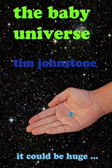 The Baby Universe