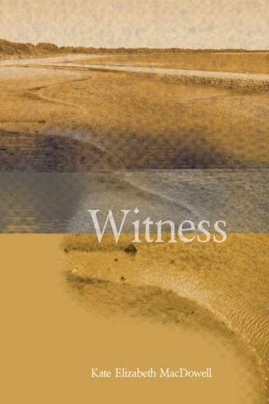 Witness