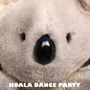 Koala Dance Party