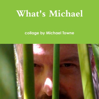 Michael's book