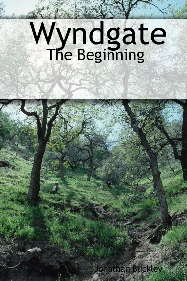Wyndgate: The Beginning
