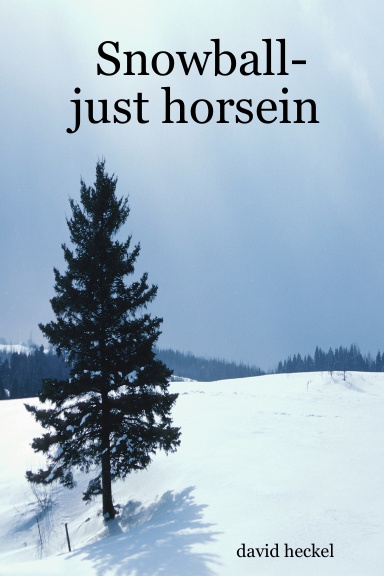 Snowball-just horsein