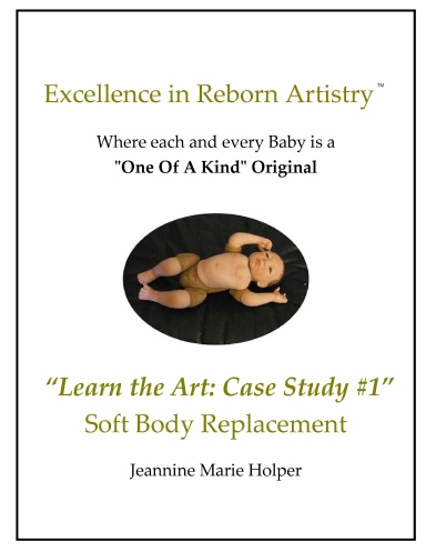 Excellence in Reborn Artistry:  Case Study#1 Soft Body Replacement
