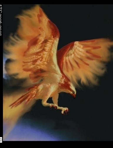 ATC 2006-2007