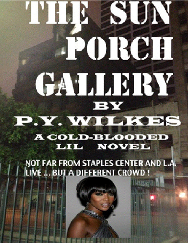 The Sun Porch Gallery Ebook