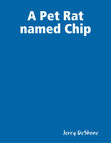 A Pet Rat named Chip