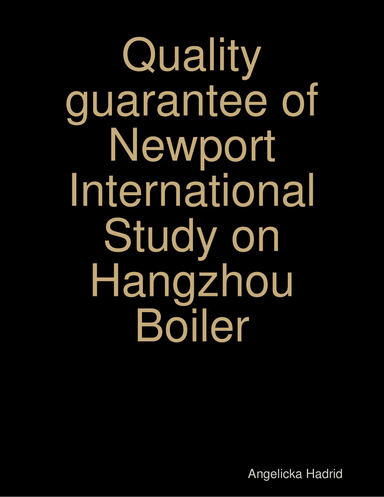 Quality guarantee of Newport International Study on Hangzhou Boiler