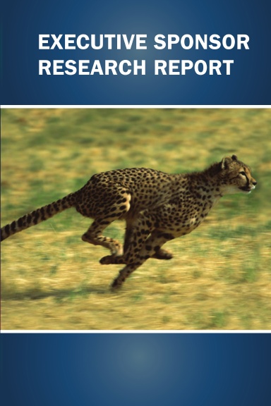 Executive Sponsor Research Report