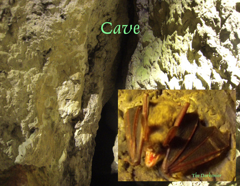 Höhle