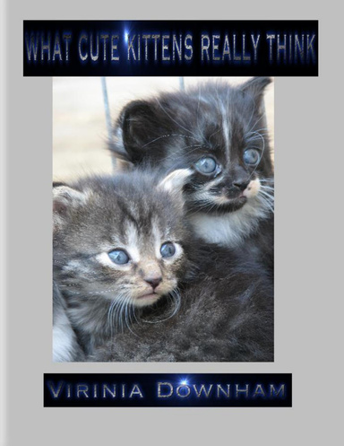 What Cute Kittens Really Think