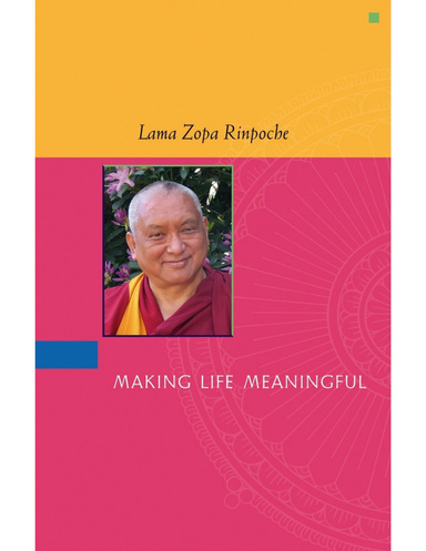 Making Life Meaningful