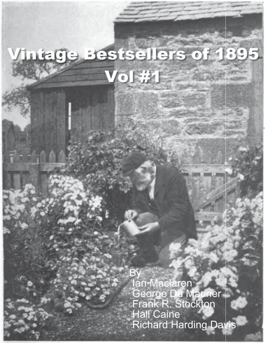 Vintage Bestsellers of 1895 Vol #1