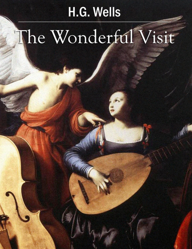 The Wonderful Visit