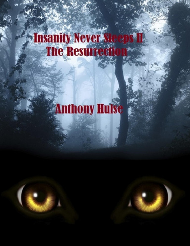 Insanity Never Sleeps II (The Resurrection)