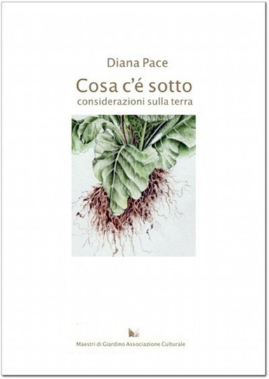 Cosa c'è sotto