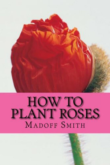 How To Plant Roses - Everything About Rose Gardening And Giving It As Gifts