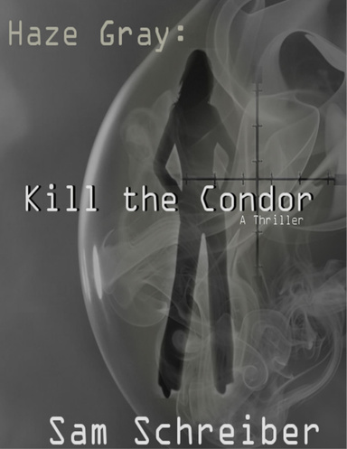 Haze Gray: Kill the Condor