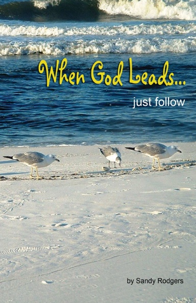 WHEN GOD LEADS....just follow