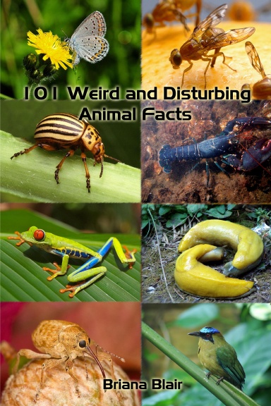 101 Weird and Disturbing Animal Facts