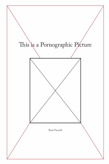 This is a Pornographic Picture (Paperback)