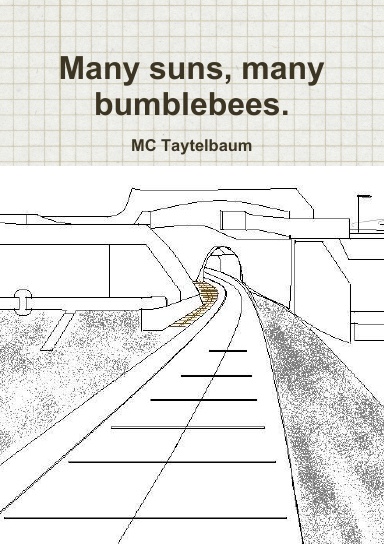Many suns, many bumblebees.