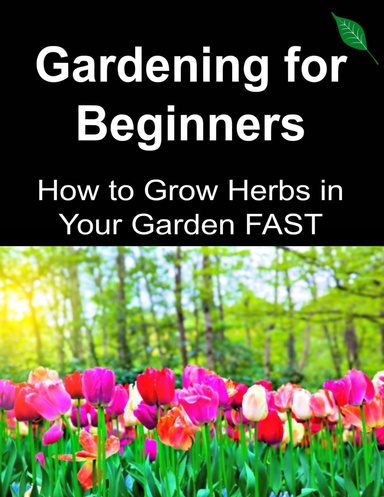 Gardening for Beginners: How to Grow Herbs In Your Garden Fast