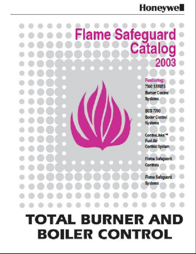 Flame Safeguard