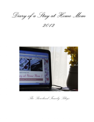 Diary of a Stay at Home Mom 2012