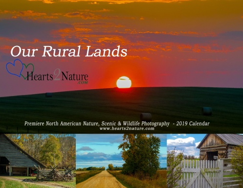 Our Rural Lands