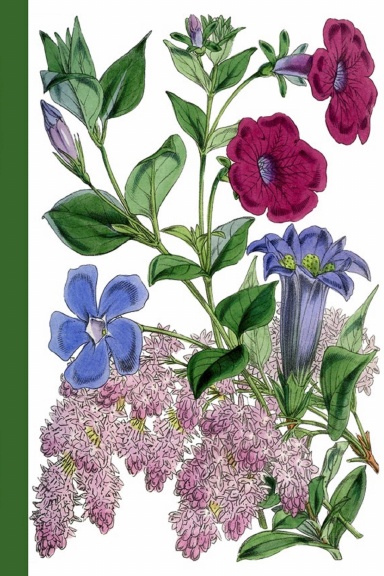 Coloring Doodling Notebook | Bouquet