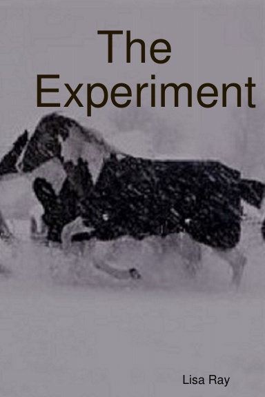 The Experiment