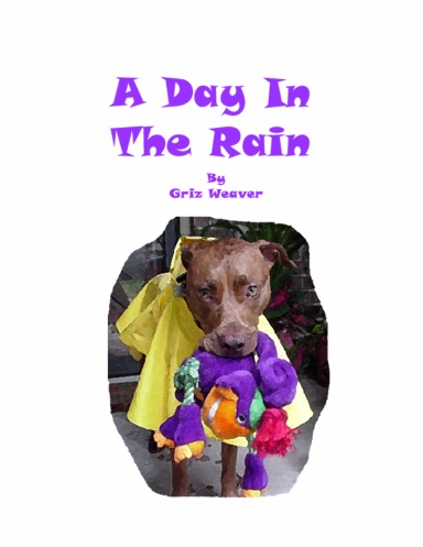 A Day In The Rain
