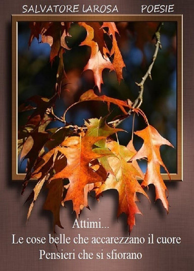 Attimi...