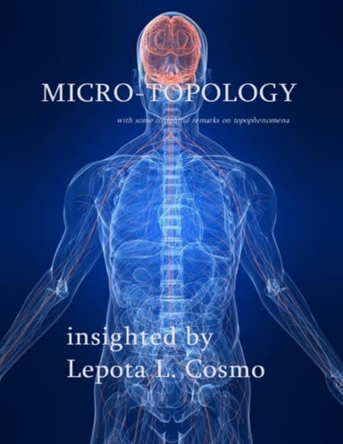 Micro Topology With Some Insightful Remarks On Topophenomena