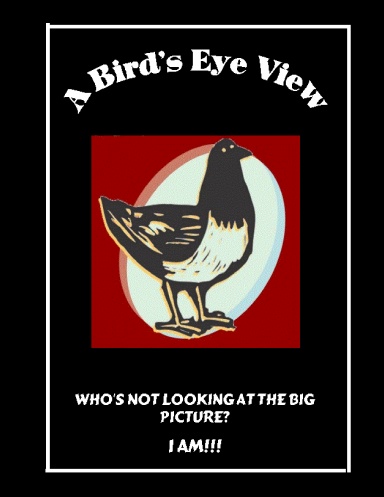 A Bird's Eye View