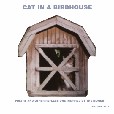 Cat in a Birdhouse
