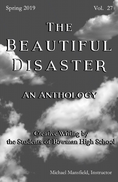 The Beautiful Disaster