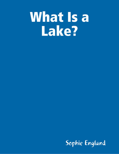 What Is a Lake?
